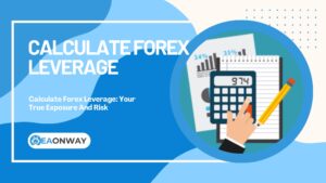 Calculate Forex Leverage