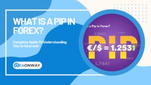 What Is A Pip In Forex