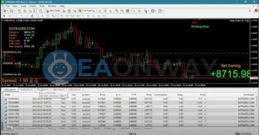 Hedge Scalper EA MT4 Real Signal
